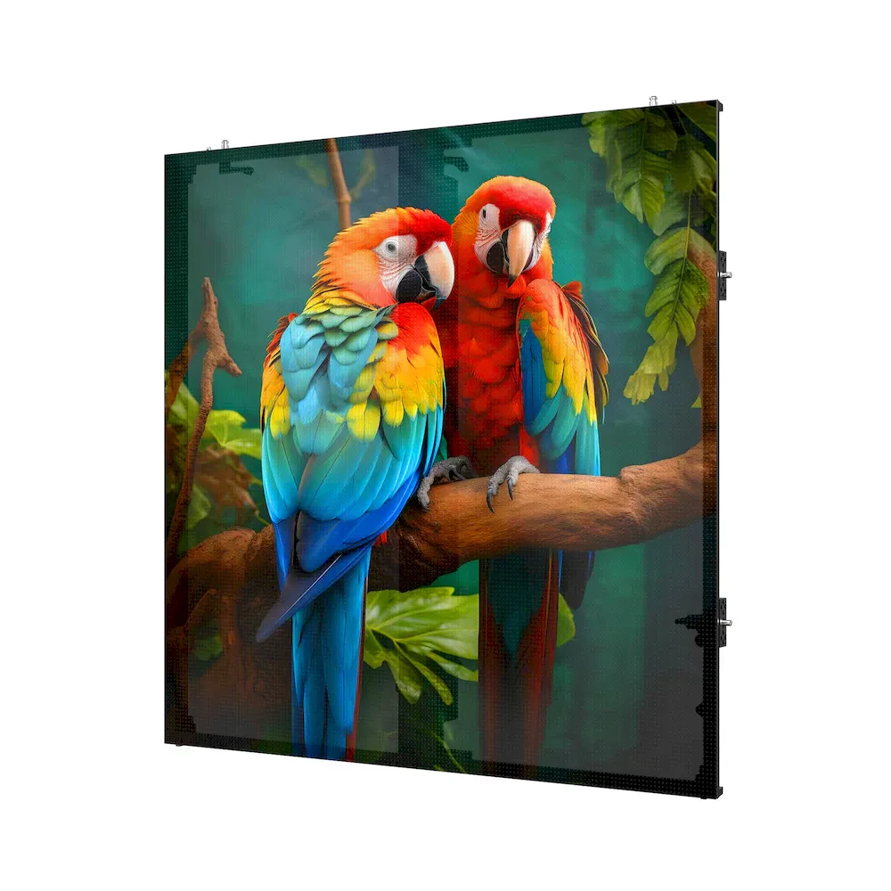R6 Outdoor Rental Screen